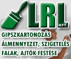 gipszkartonozas-lesi